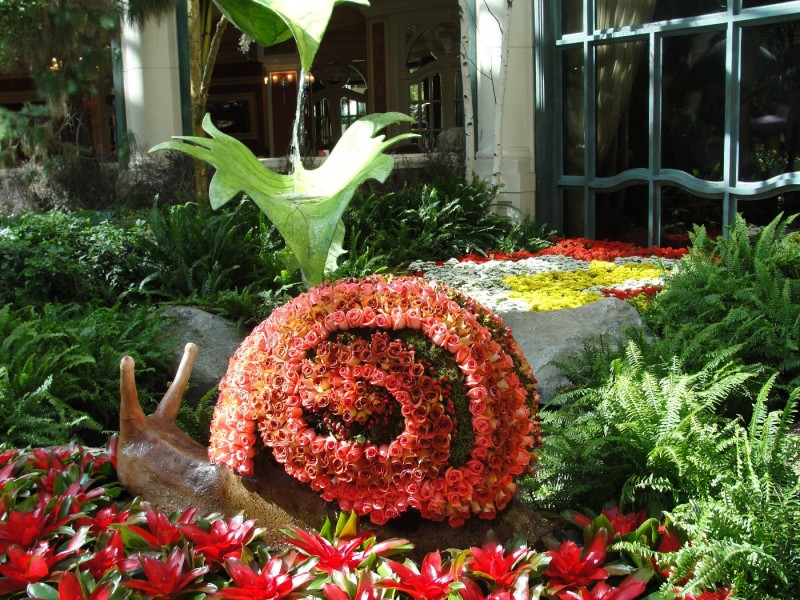 Bellagio - Conservatory Display